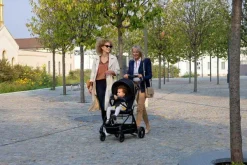 Passeggini|Chicco Passeggino One4Ever Silverleaf